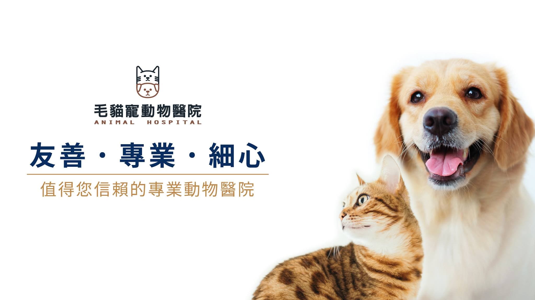獸醫診所